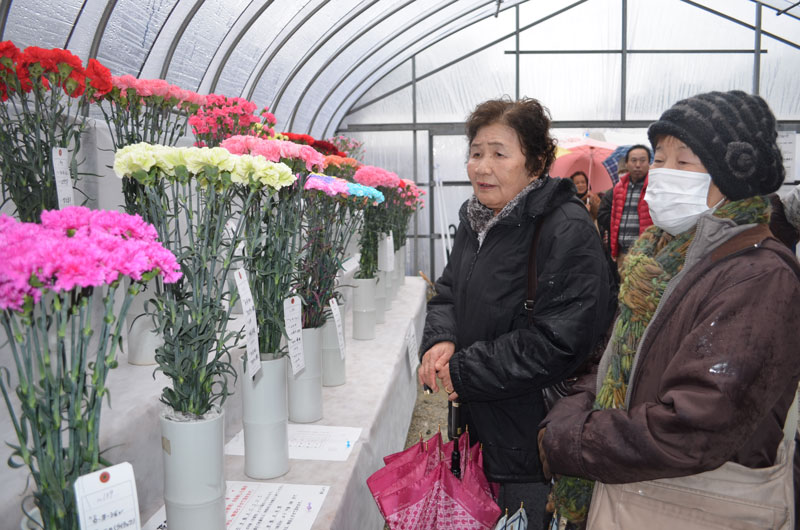 2015年1月のトピックス「展示の花を楽しむ参拝客」