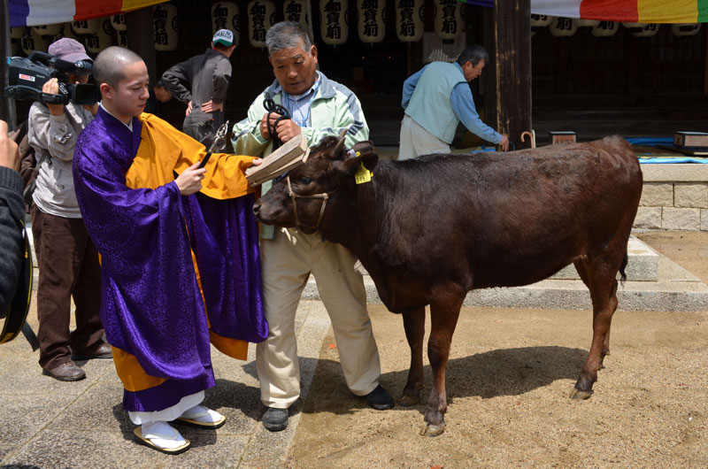 2016年5月のトピックス「和牛の繁殖と安産を祈願<br>牛馬安全祈とう会」