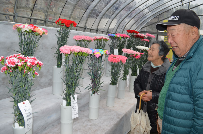 2019年1月のトピックス「花の展示を楽しむ参拝者」