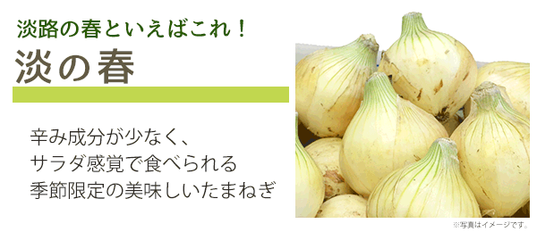 特産品 早生タマネギ 淡の春 淡路島から 安全 安心 のご提案と淡路島情報をお届けします Ja淡路日の出